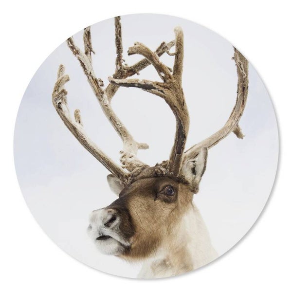 Muurcirkel rendier 30 cm