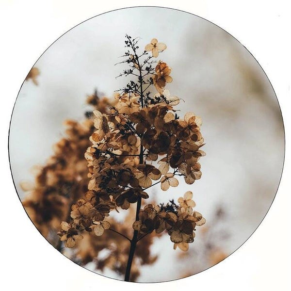 Muurcirkel mini flower 30 cm