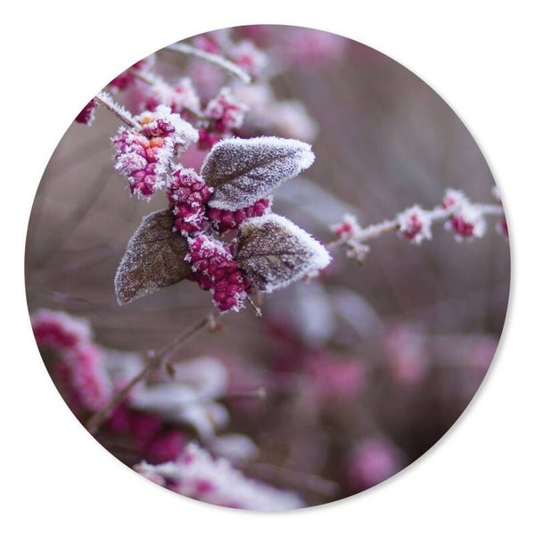 Muurcirkel Winter berry 30 cm