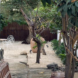 img-9470.jpg