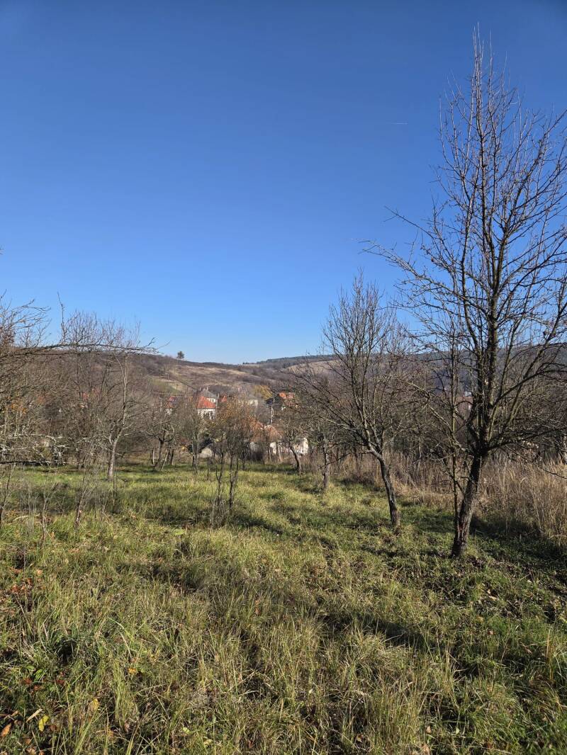 uitzicht tuin huis kopen hongarije