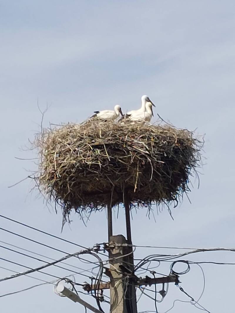 huizen te koop in hongarije