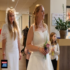 14-standard-2n9nks.jpg