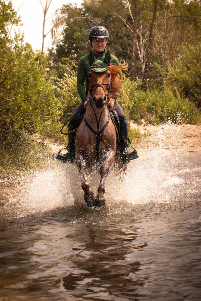 schoon stondeke fotografie, helmond, paarden fotografie, op locatie buiten, paard in water en heide,  actie 