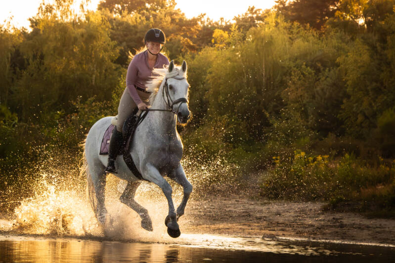 paard-en-ruiter-fotograaf-bij-water-met-golden-hour-en-zonsondergang-schoon-stondeke-fotografie-2-2-standard-l30kin.jpg
