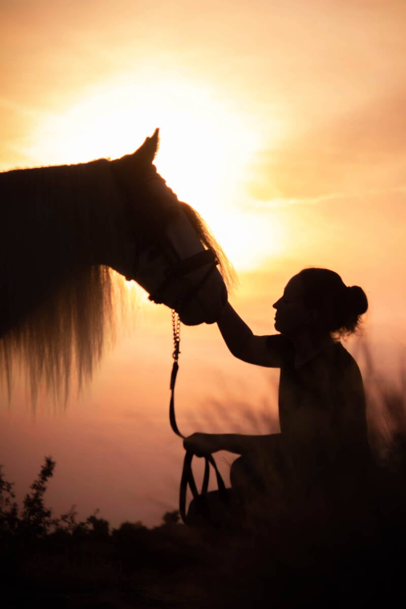 schoon stondeke fotografie, helmond, paarden fotografie, op locatie buiten, paard in water en heide, golden hour  2