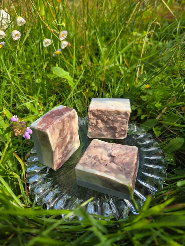 Vanilla Earth Hand Soap