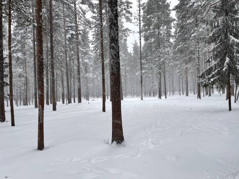 Schweden, Svenska, E45, Lappland, Scandinavian-Adventure Luxembourg