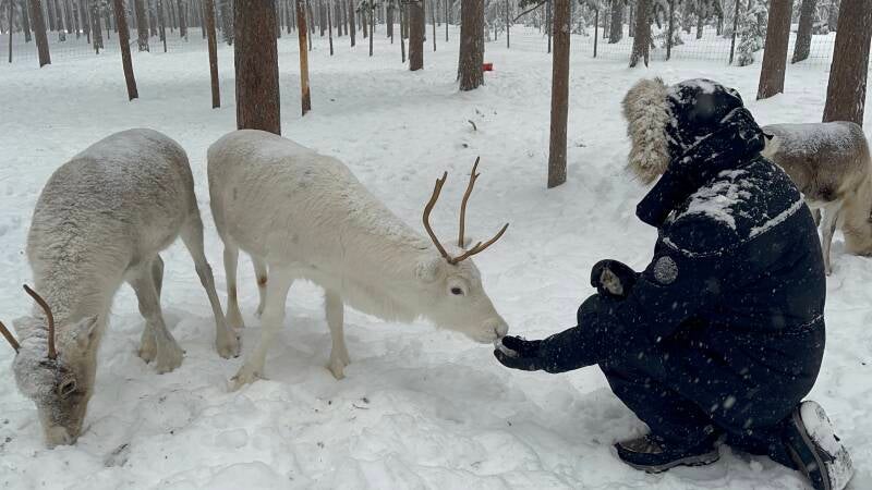 Västerbotten lan, Malå, Börje Stenlund, Sami, Natur, Lappland, Schweden, sweden, Scandinavian-Adventure Luxembourg