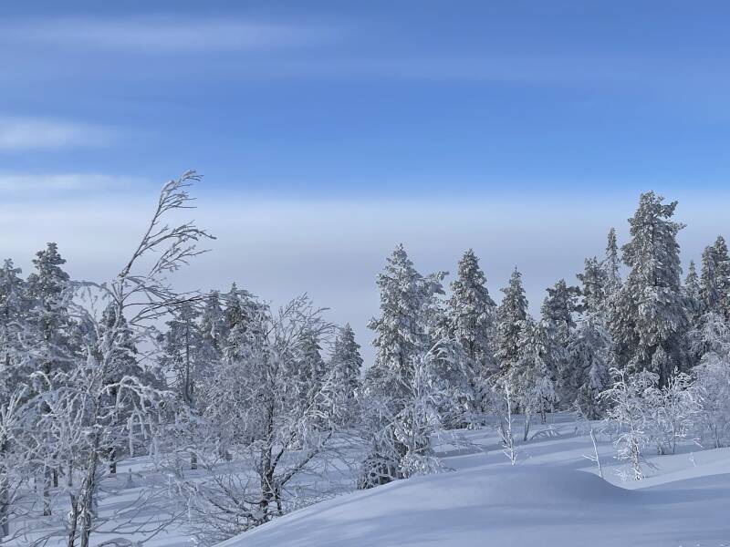 Schweden, sweden, Lappland, Snowmobil, Schneemobil, Winter, Schnee, Scandinavian-Adventure Luxembourg, Ways of Lapland, Sorsele