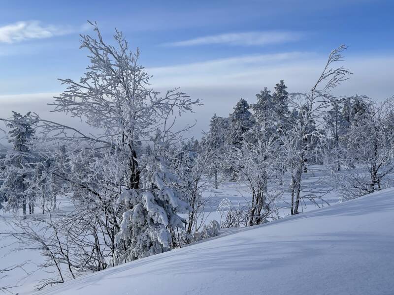 Schweden, sweden, Lappland, Snowmobil, Schneemobil, Winter, Schnee, Scandinavian-Adventure Luxembourg, Ways of Lapland, Sorsele