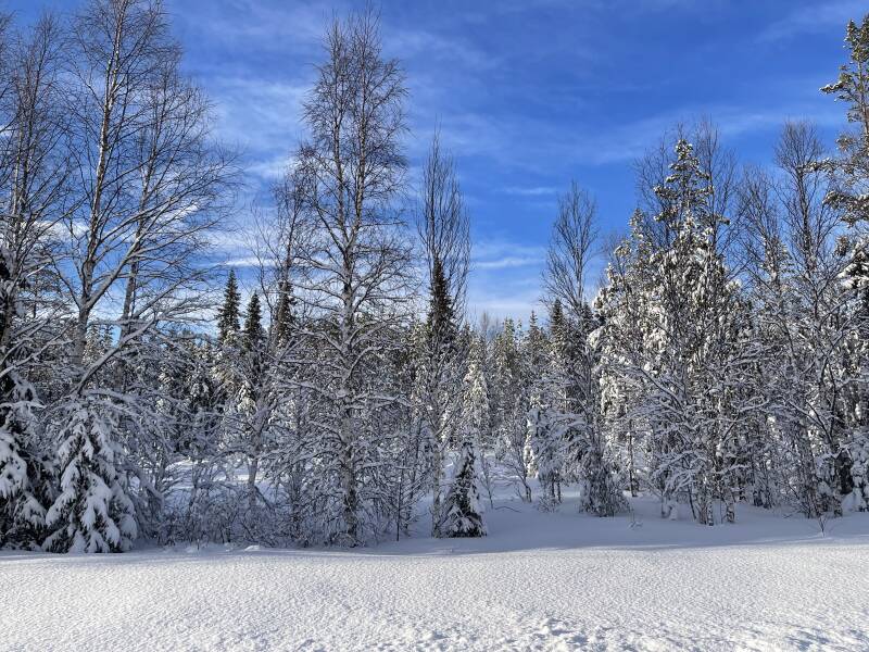Västerbotten lan,, Schweden, sweden, Lappland, Scandinavian-Adventure Luxembourg,  Dorotea Kommun