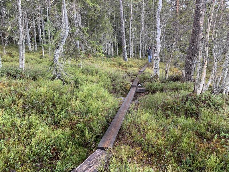 Hamra Nationalpark, Häjedalen, Gävleborgs lan, Scandinavian-Adventure Luxembourg