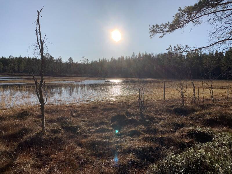 Hamra Nationalpark, Häjedalen, Gävleborgs lan, Scandinavian-Adventure Luxembourg