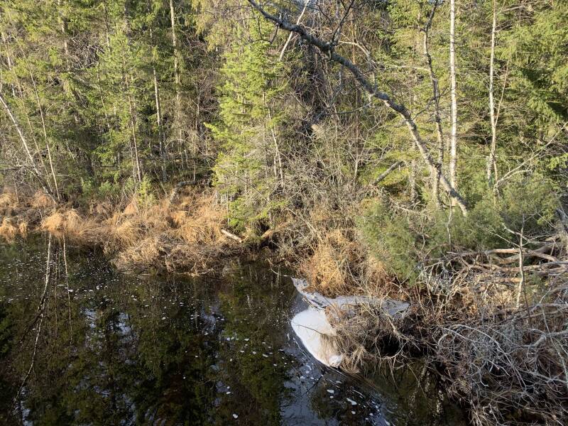Hamra Nationalpark, Häjedalen, Gävleborgs lan, Scandinavian-Adventure Luxembourg