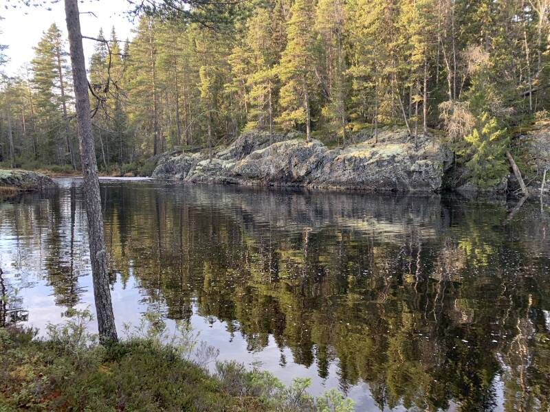 Hamra Nationalpark, Häjedalen, Gävleborgs lan, Scandinavian-Adventure Luxembourg