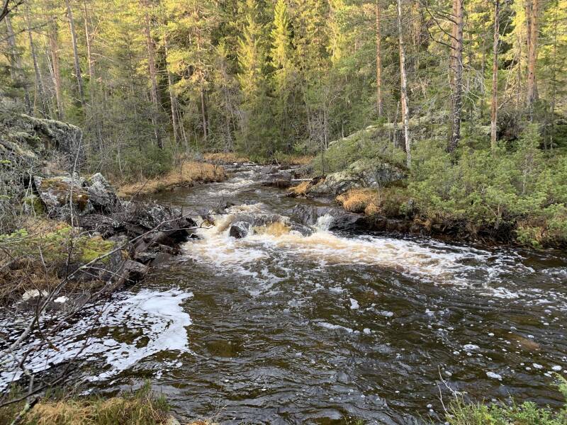 Hamra Nationalpark, Häjedalen, Gävleborgs lan, Scandinavian-Adventure Luxembourg