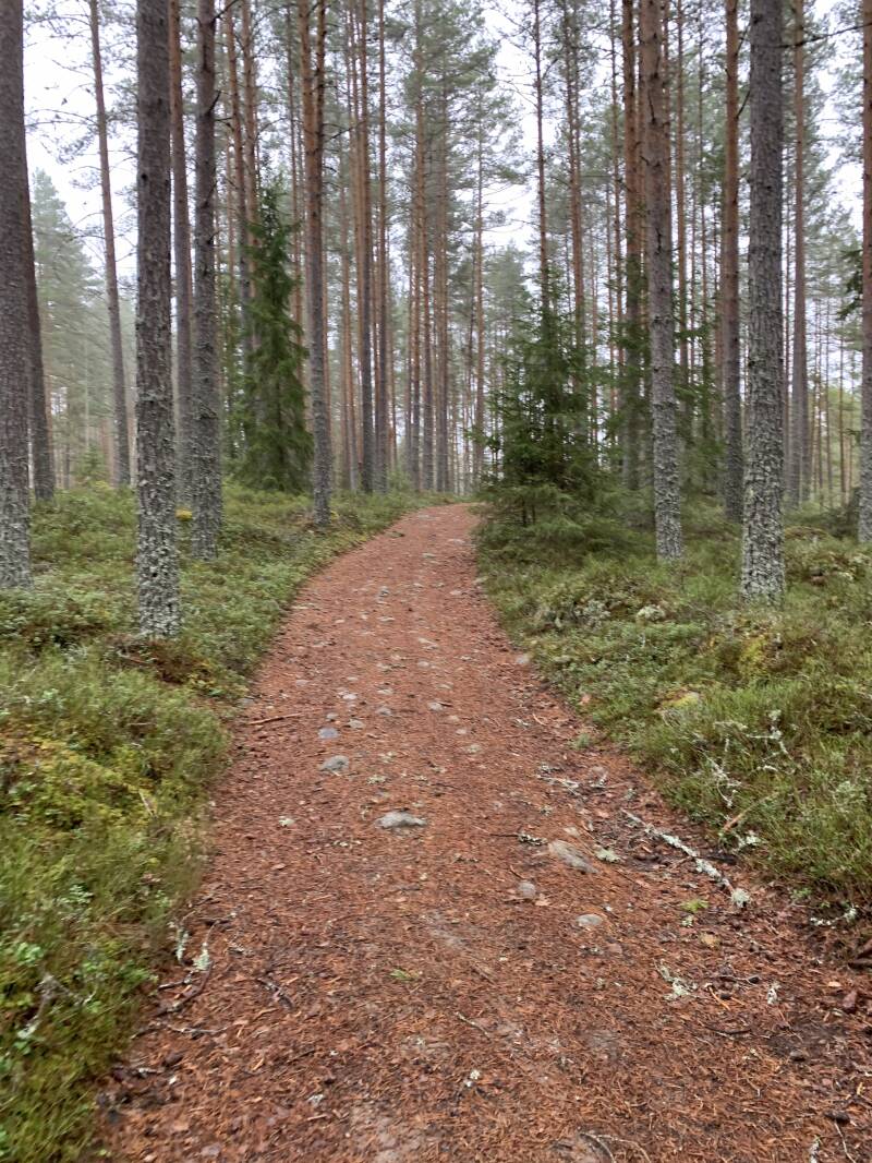 Klarälven, Brattfallet, Ekshärad, Scandinavian-Adventure Luxembourg