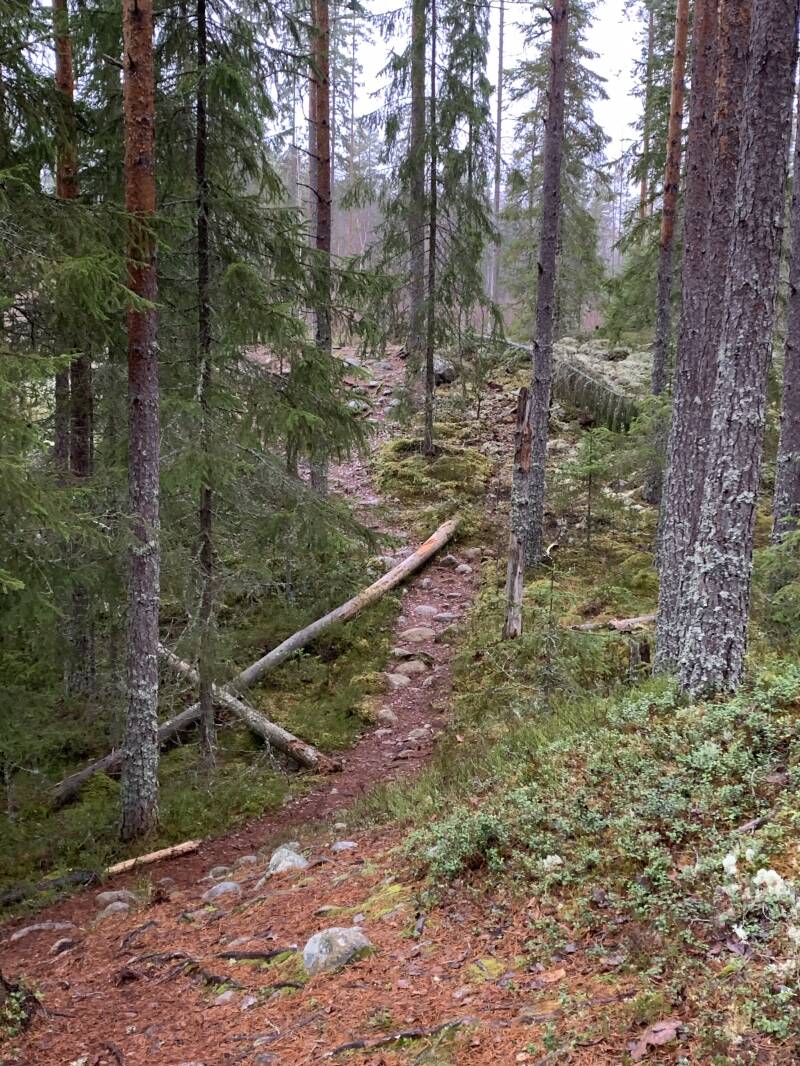 Klarälven, Brattfallet, Ekshärad, Scandinavian-Adventure Luxembourg