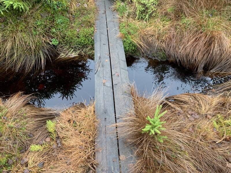 Klarälven, Brattfallet, Ekshärad, Scandinavian-Adventure Luxembourg