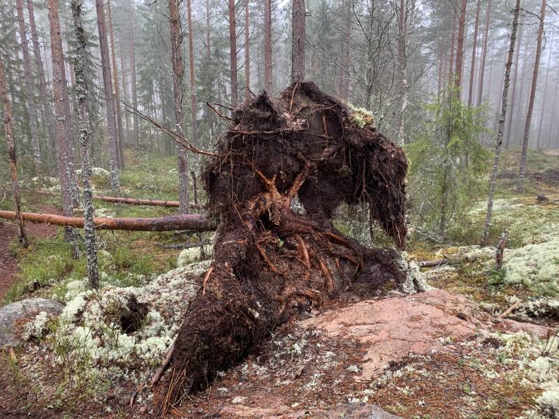 Klarälven, Brattfallet, Ekshärad, Scandinavian-Adventure Luxembourg