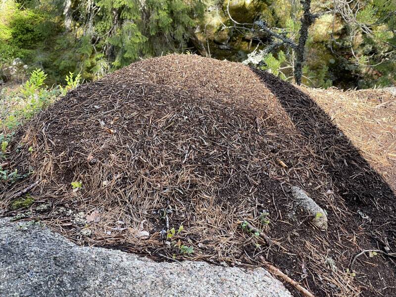 Klarälven, Brattfallet, Ekshärad, Scandinavian-Adventure Luxembourg