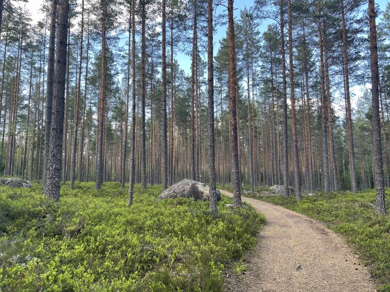 Klarälven, Brattfallet, Ekshärad, Scandinavian-Adventure Luxembourg