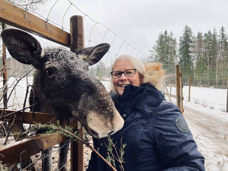 Värmland, Värmlands Moose Park , Natur, Elch, Schweden, sweden, Scandinavian-Adventure Luxembourg, Ekshärad