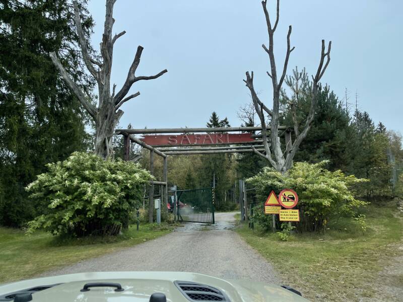 Schweden, sweden, Smalandet Moose Safari, Elchpark,Markaryd, Natur, Elche, Scandinavian-Adventure Luxembourg