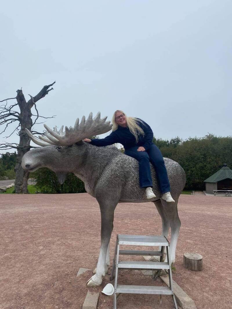 Schweden, sweden, Smalandet Moose Safari, Elchpark,Markaryd, Natur, Elche, Scandinavian-Adventure Luxembourg