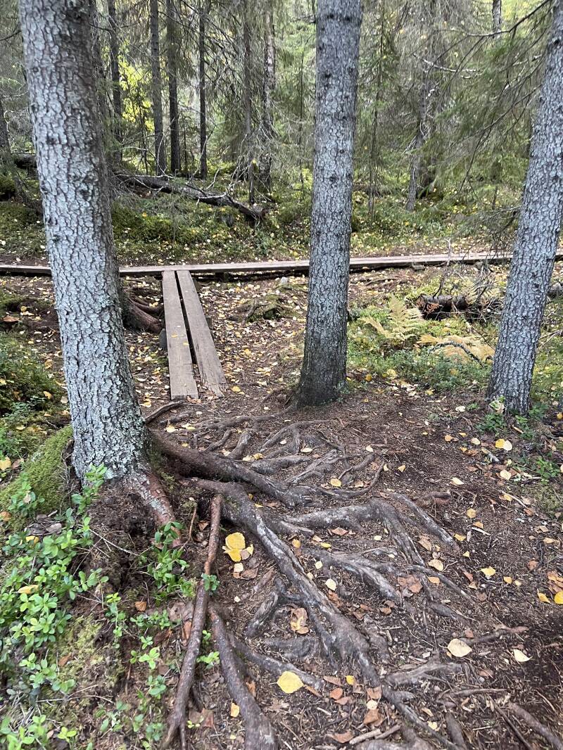 Jämtland, Hällingsafallet, Wasserfall, Tännäs, Natur, Wandern, Schweden, sweden, Scandinavian-Adventure Luxembourg,