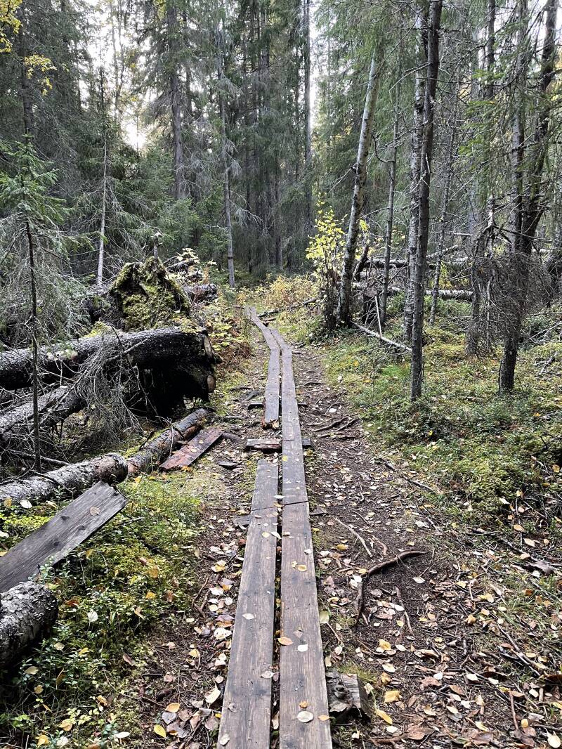 Jämtland, Hällingsafallet, Wasserfall, Tännäs, Natur, Wandern, Schweden, sweden, Scandinavian-Adventure Luxembourg,