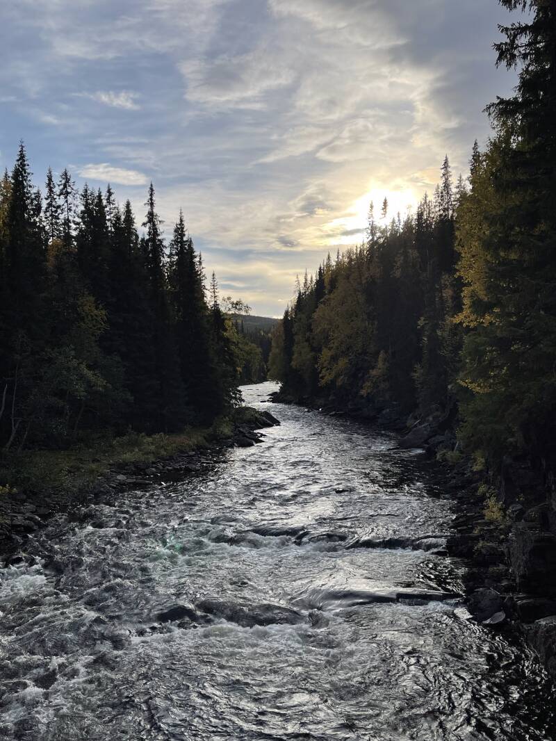 Scandinavian-Adventure Luxembourg, Vildmarksvägen, "Wilderness Road" , "Wildmarksvägen, Trappstegforsen, Fatmomakke, Stekenjokk, Frostviken, Hällingsåfallet