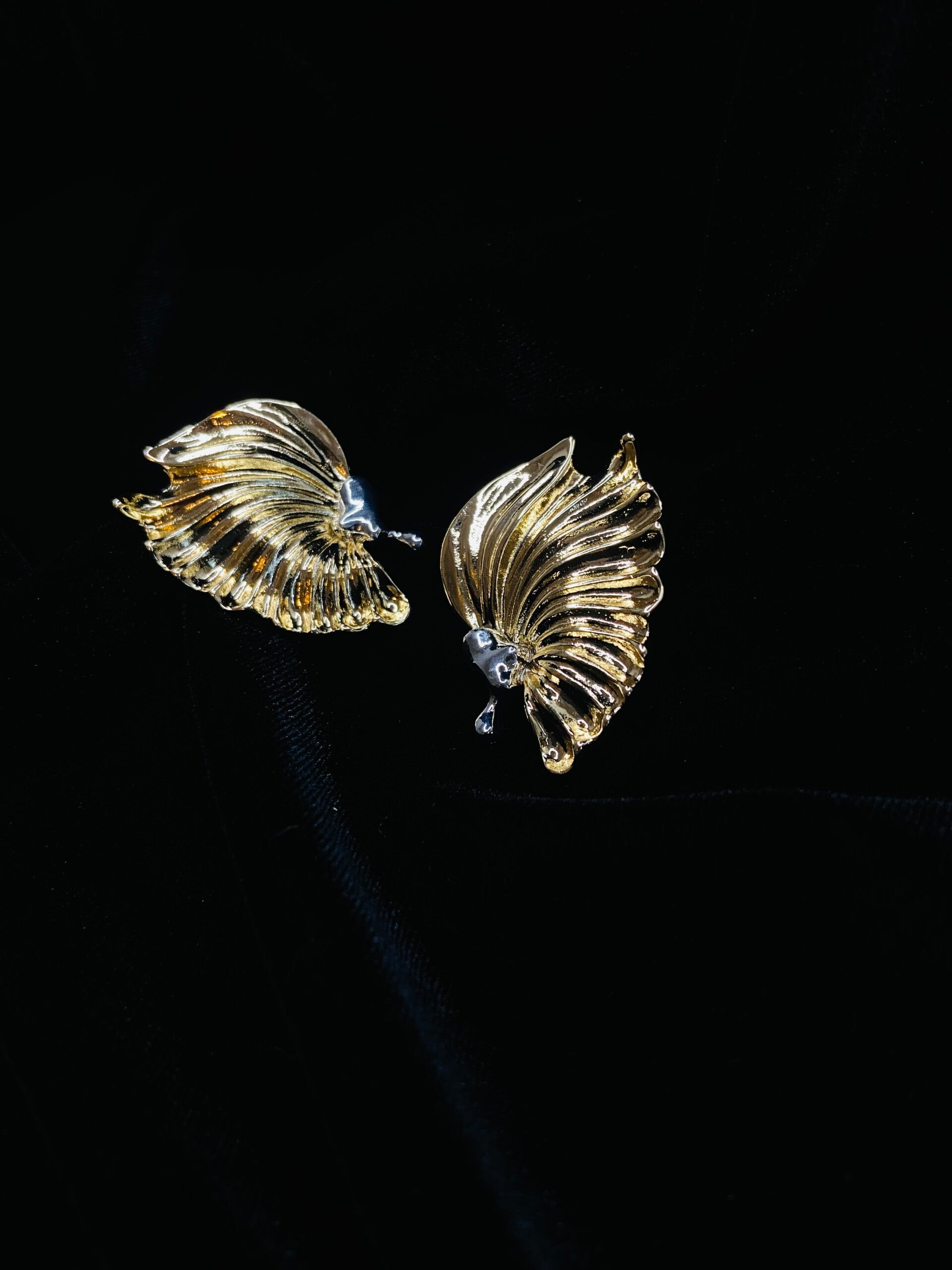 Wing Earrings