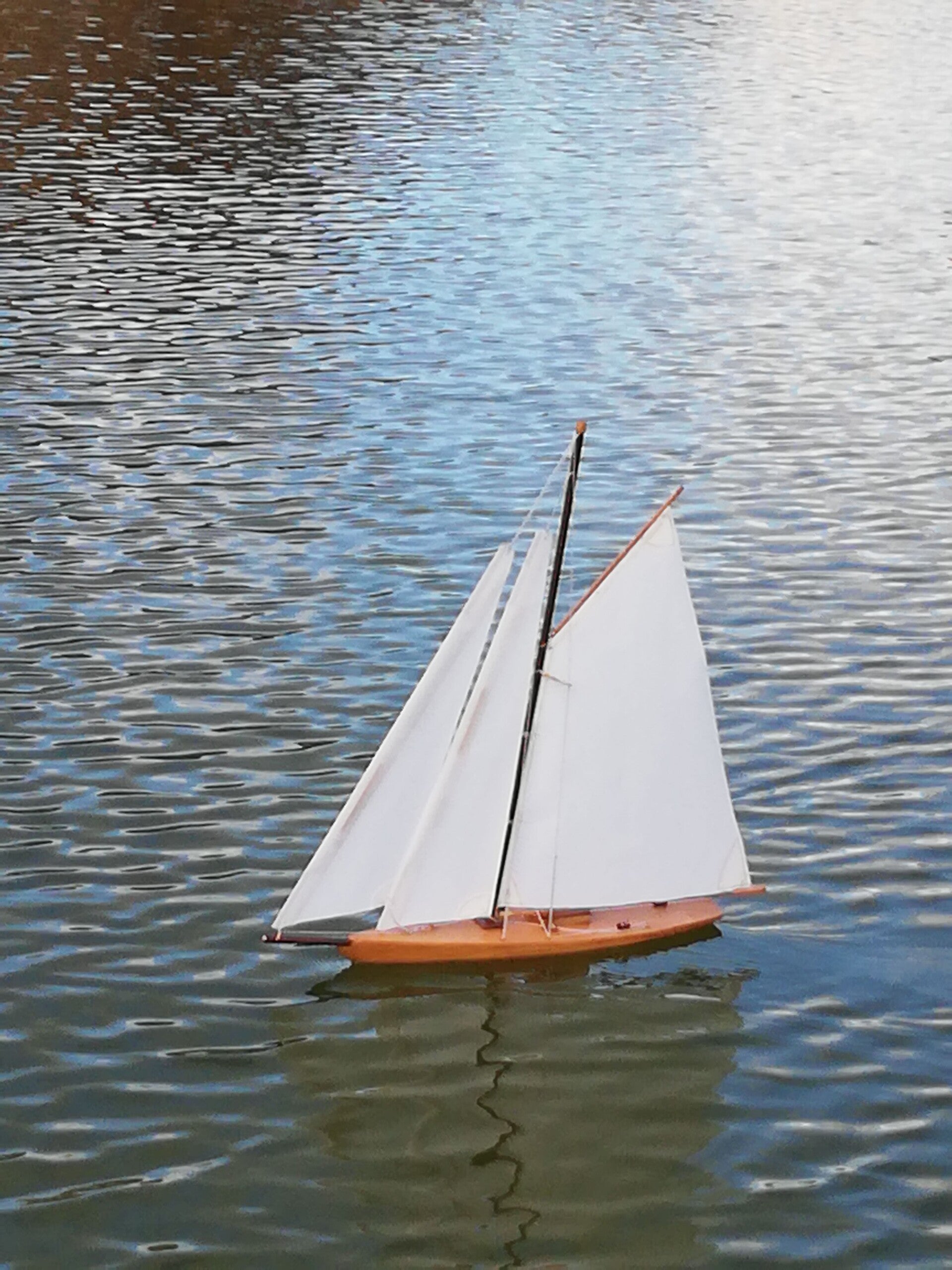 Petit cotre cotre aurique