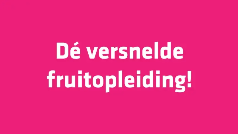 Fruit Tech Campus - websitedesign