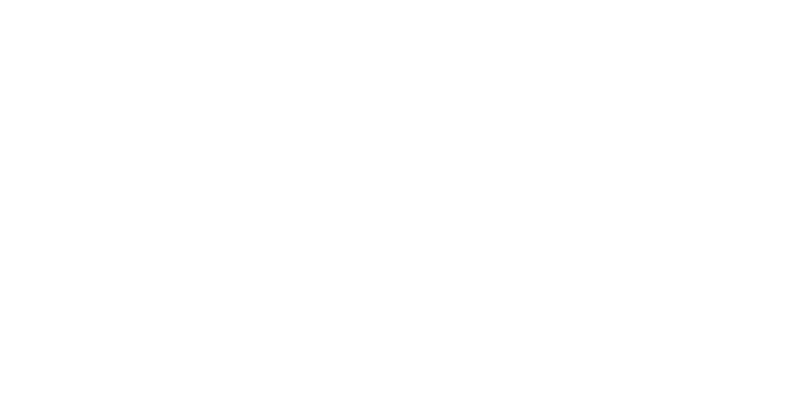 HOLLANDSE DATALINIE - logo