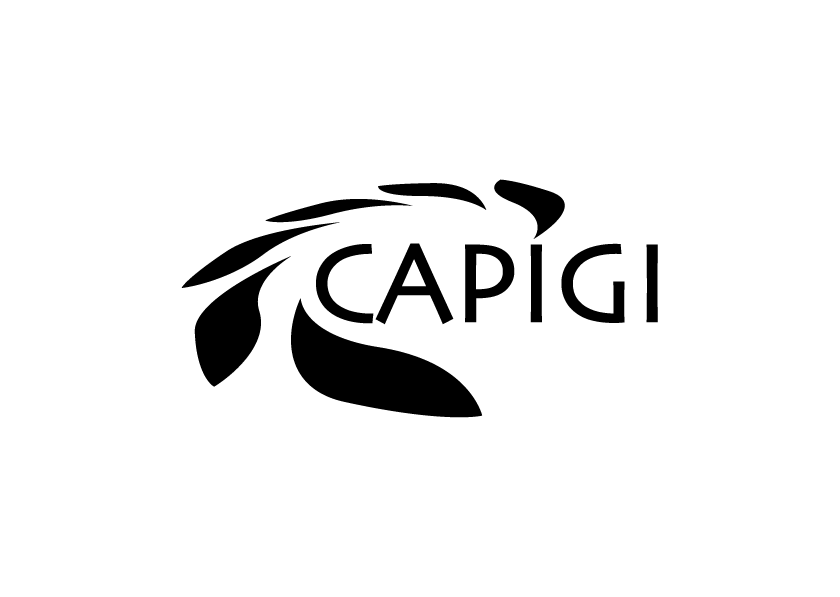 Capigi, AeroVision, Amersfoort
