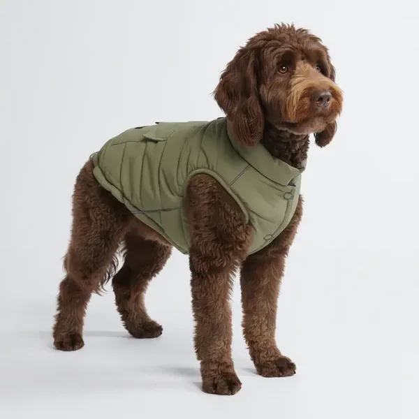 Honden jas