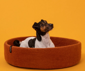 Ergonomische honden-en kattenmanden