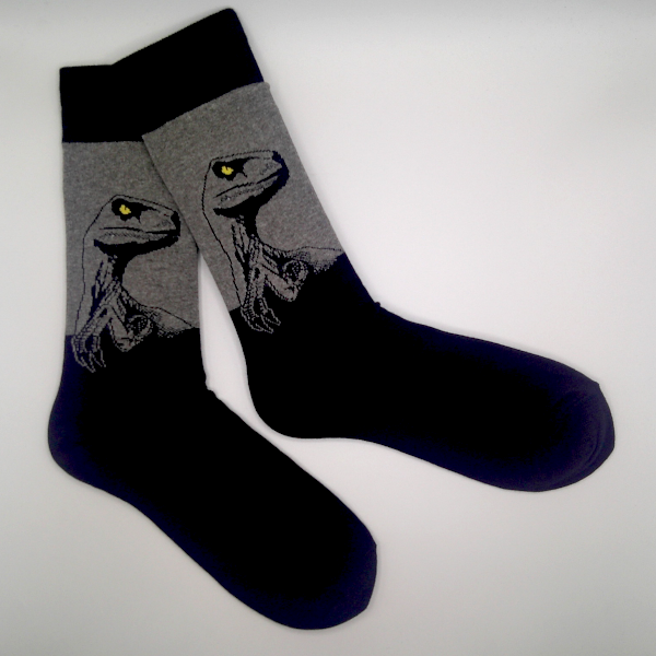 Chaussettes Dinosaures grises