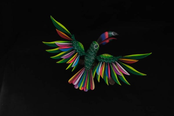 Tucan