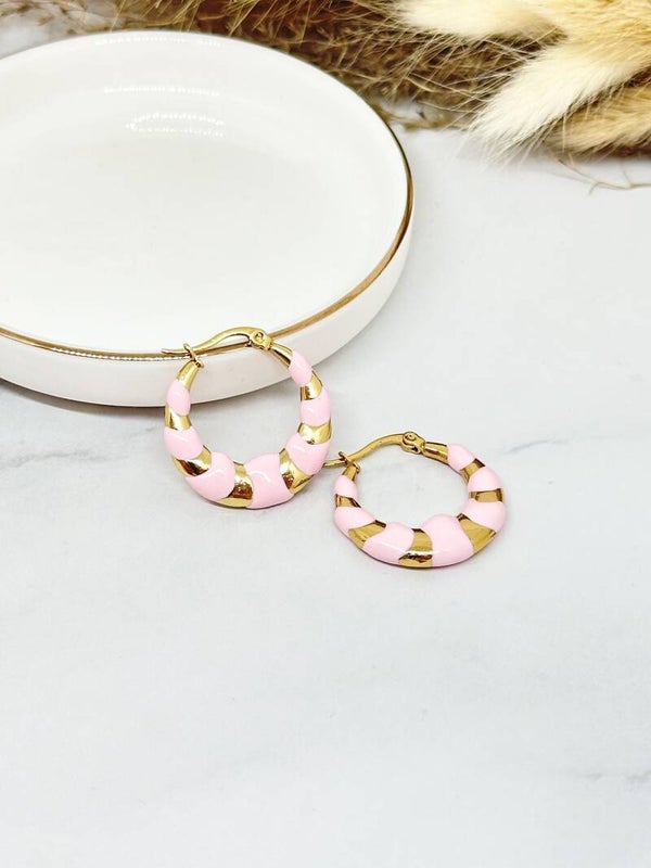 Sierlijke oorbellen RVS