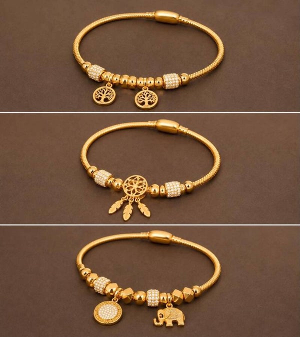 Magnetische armband in RVS