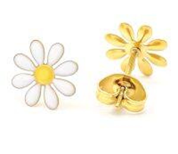 OORBELLEN MARGRIETEN IN RVS