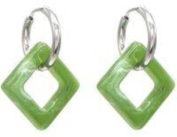 GROENE OORRINGEN RVS Nickelvrij