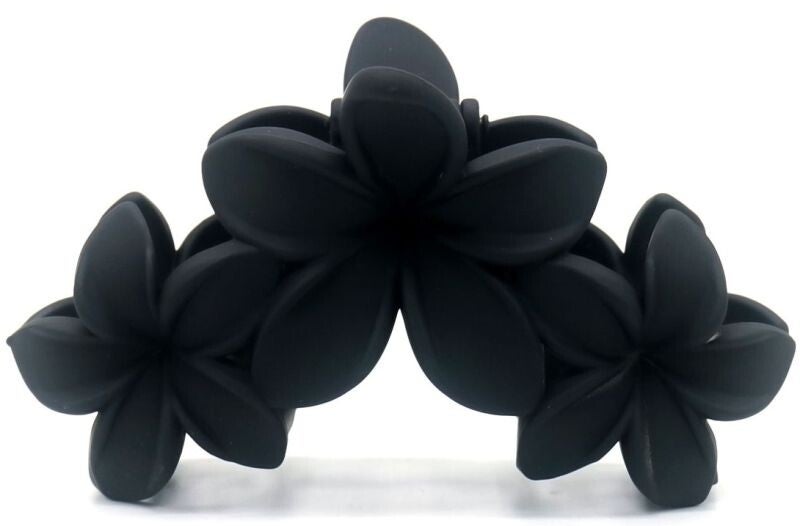 Haarklem bloemen groot