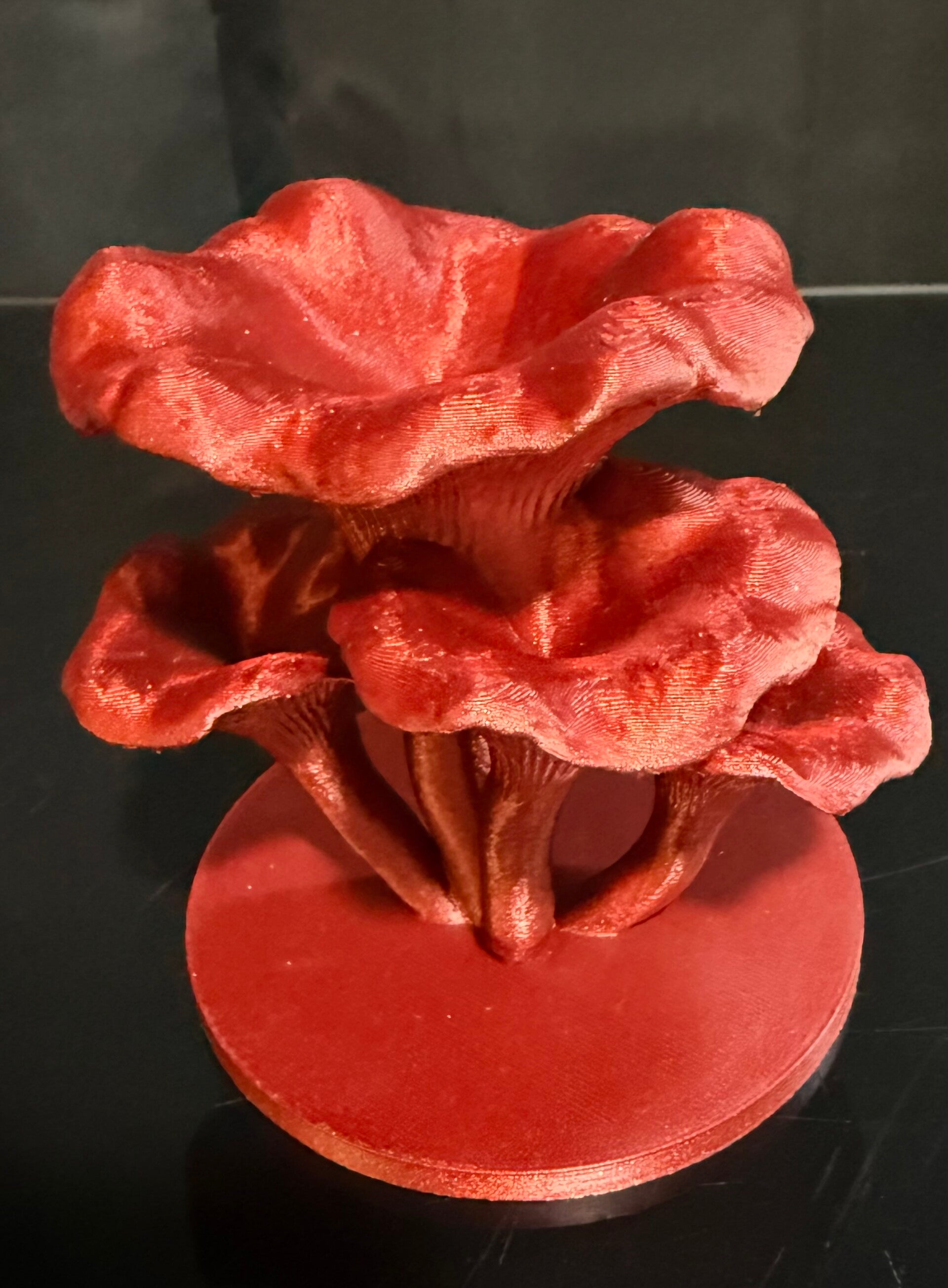 Abreuvoir chanterelle