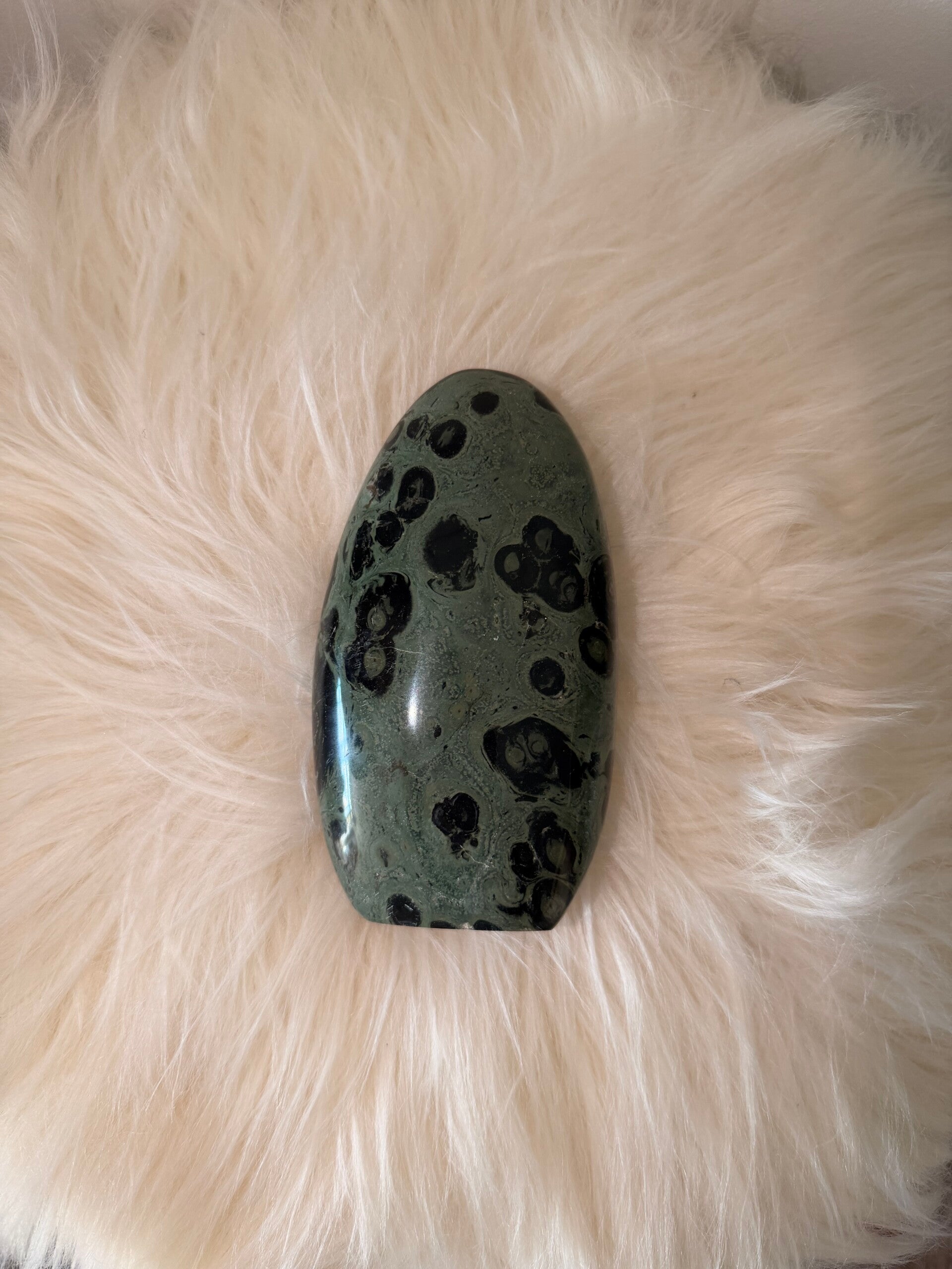 Kambaba Jasper