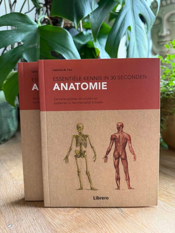 Anatomy in 30 Seconds - Gabrielle M. Finn